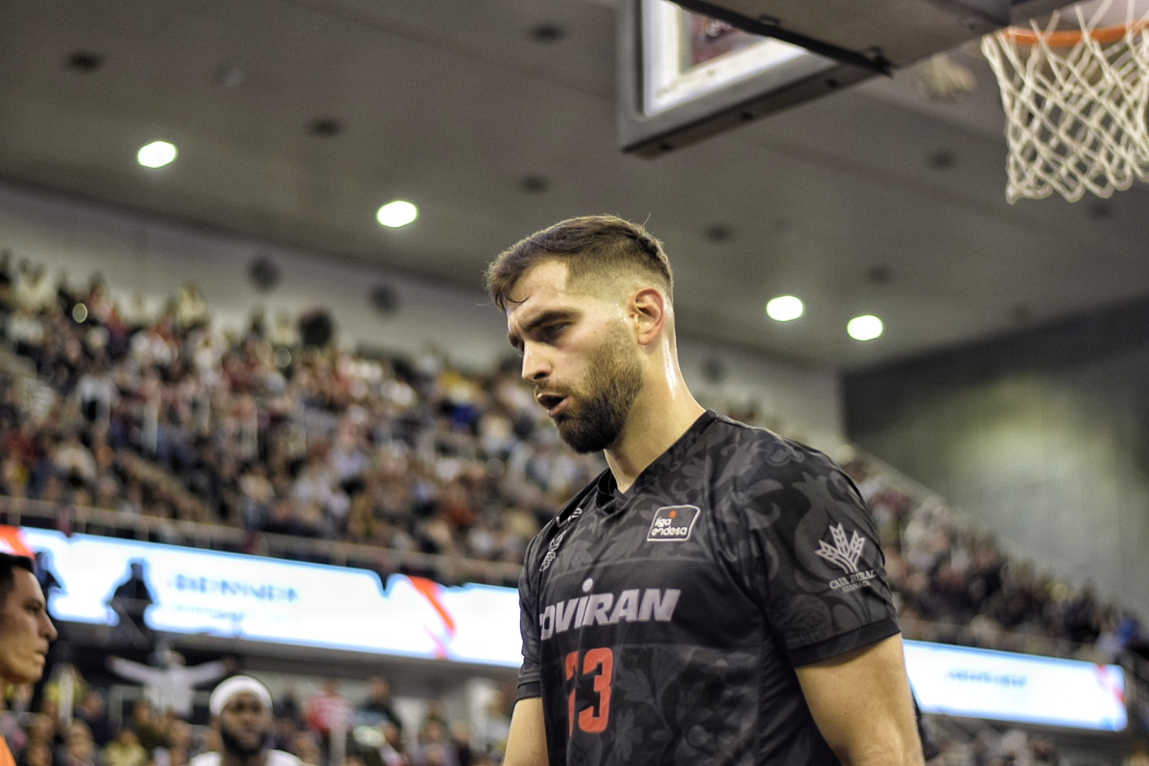 La vuelta de Jovan Kljajić: aire fresco para Covirán Granada